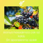 Taze Aronya Ön Siparişlerimiz Açıldı!