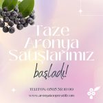 TAZE ARONYA SATIŞLARIMIZ BAŞLADI